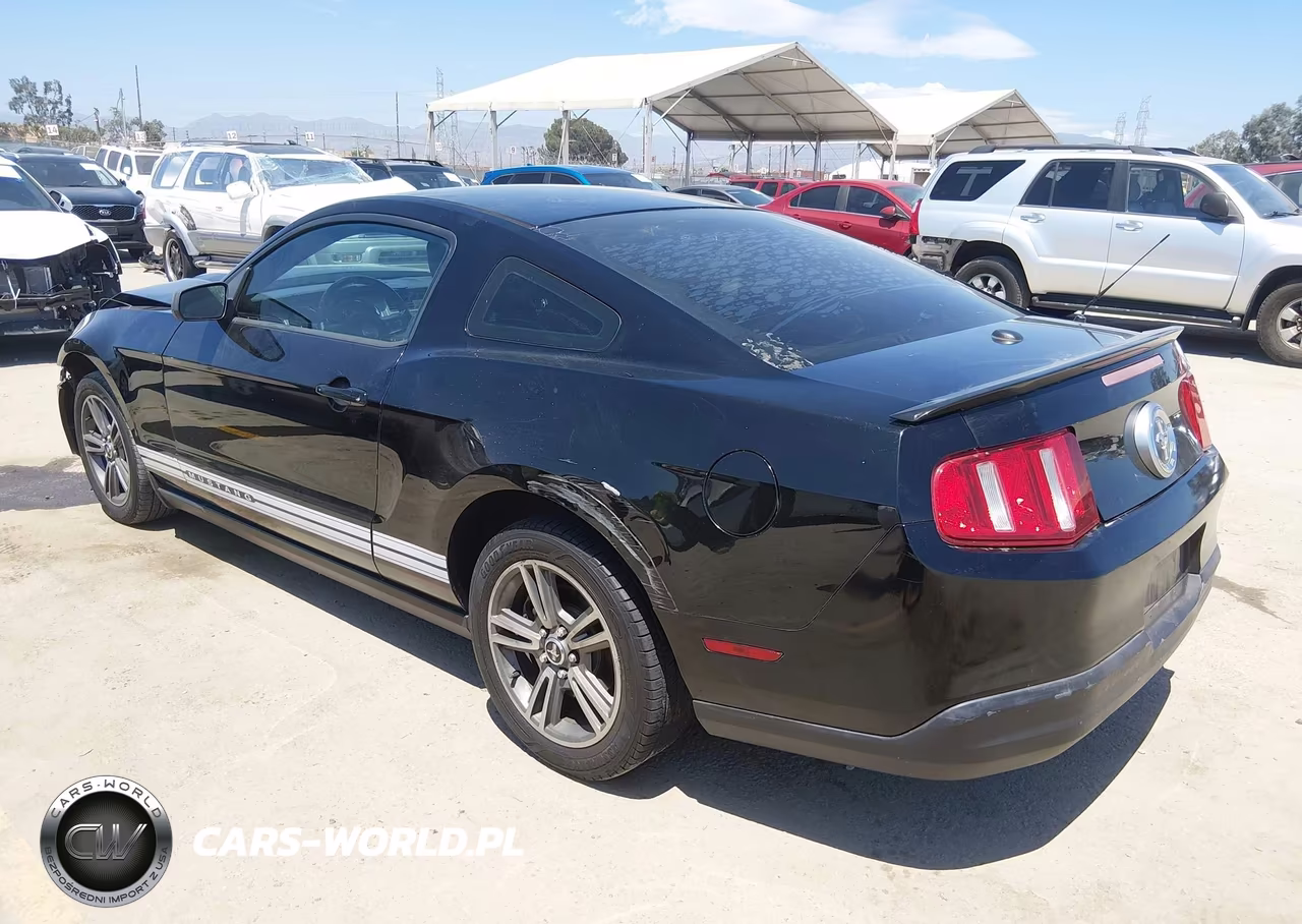 2010 Ford Mustang V6-V6 Premium VIN:1ZVBP8AN8A5146595 - 3