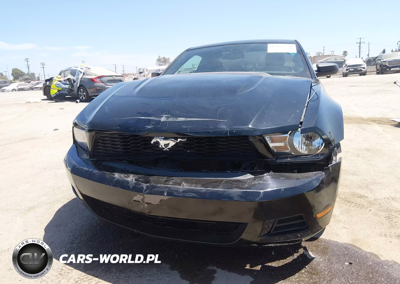 2010 Ford Mustang V6-V6 Premium VIN:1ZVBP8AN8A5146595 - 6