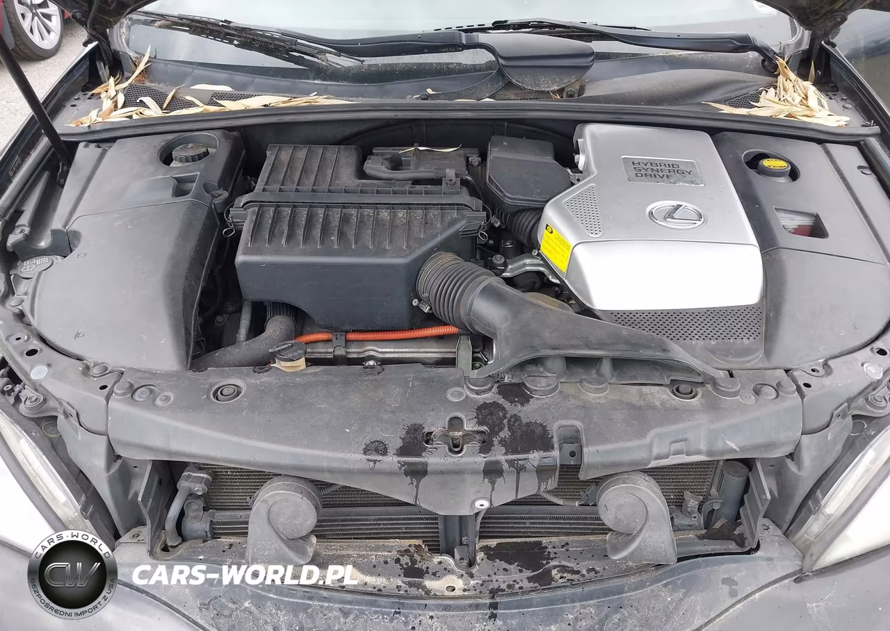 2006 Lexus Rx 400H VIN:JTJHW31U660024720 - 10