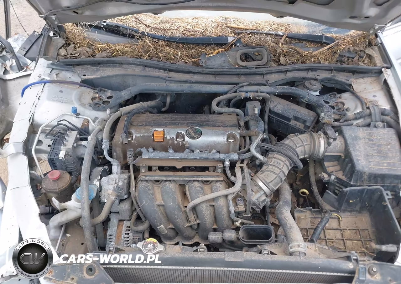 2009 Honda Accord 2.4 Lx-S VIN:1HGCS12309A013991 - 10