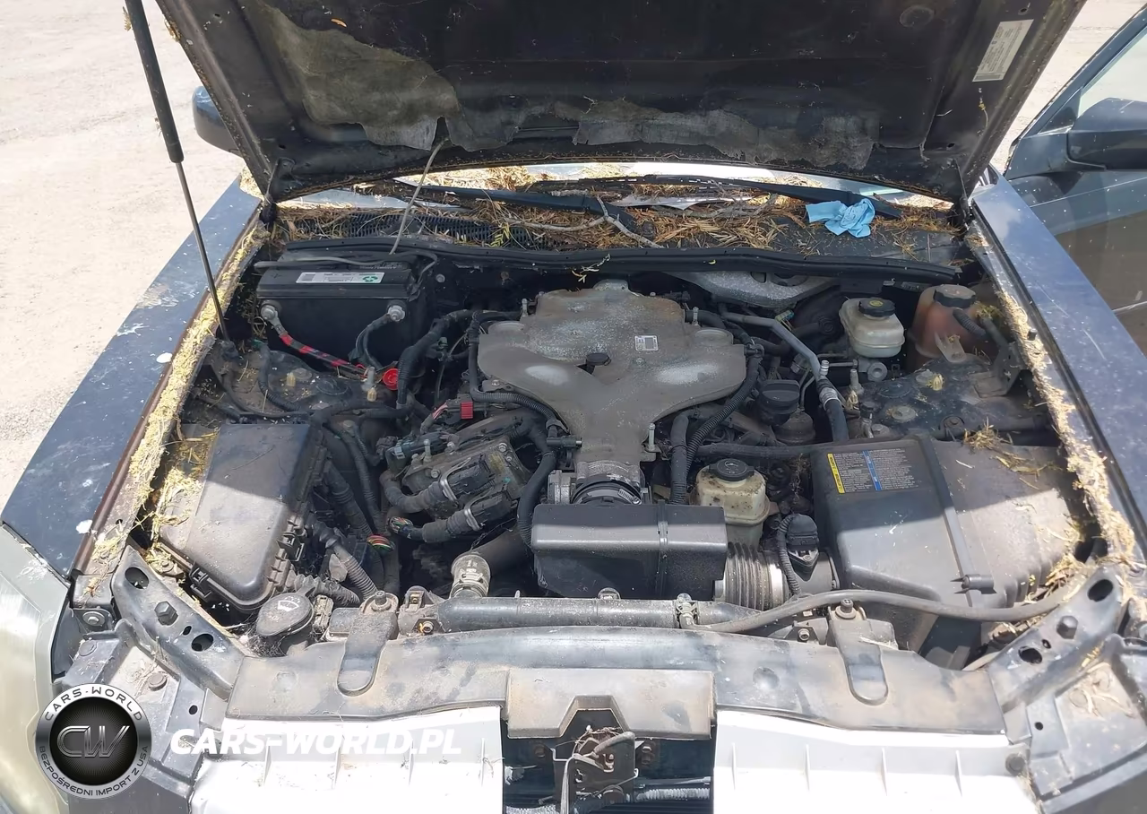 2007 Cadillac Cts Base W-1Sa VIN:1G6DM57T470111618 - 10