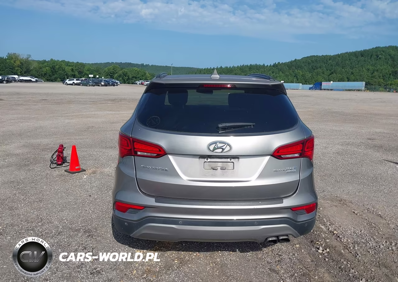 2017 Hyundai Santa Fe Sport 2.0T Ultimate VIN:5XYZW4LA5HG491575 - 16