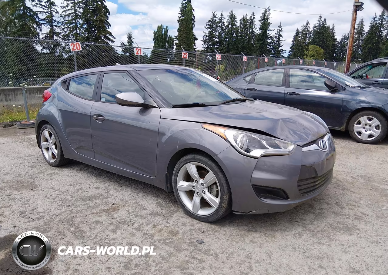 2013 Hyundai Veloster Base W-Black VIN:KMHTC6AD7DU103192 - 1