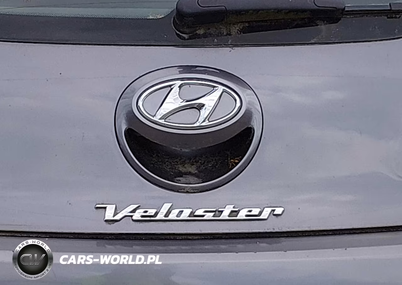 2013 Hyundai Veloster Base W-Black VIN:KMHTC6AD7DU103192 - 12
