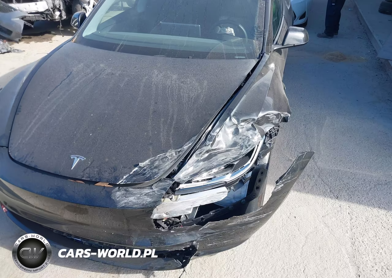2025 Tesla Model 3 Long Range Rear-Wheel Drive-Standard Rear-Wheel Drive VIN:5YJ3E1EA6SF030663 - 12