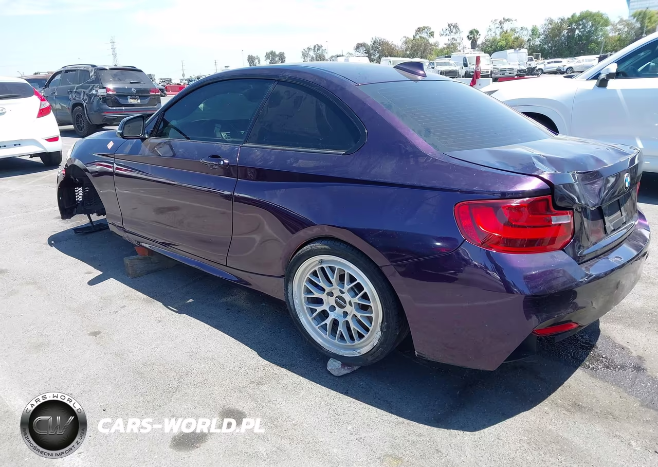 2016 BMW M235I VIN:WBA1J7C59GV360783 - 3