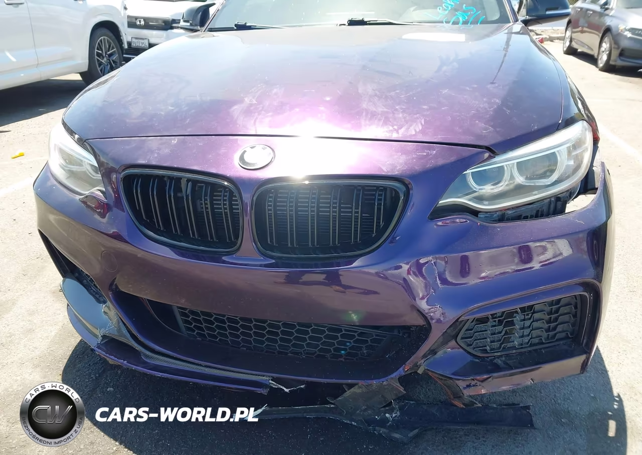 2016 BMW M235I VIN:WBA1J7C59GV360783 - 6