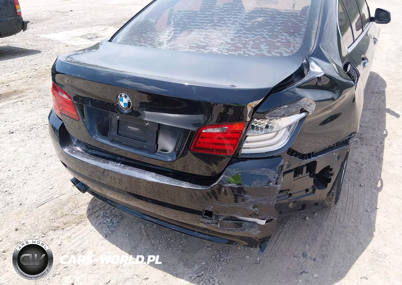 2013 BMW 528I VIN:WBAXG5C50DDY37549 - 12