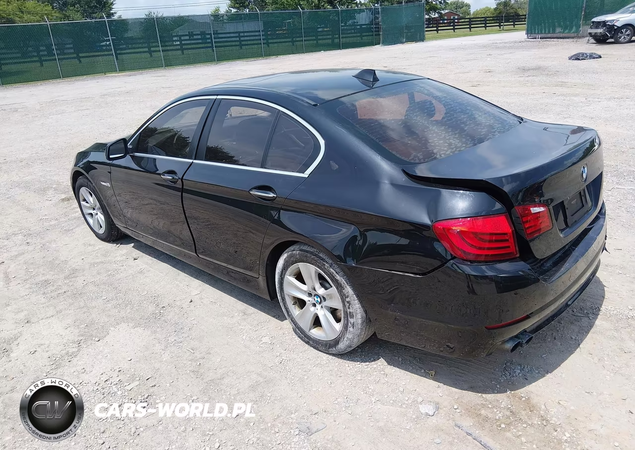 2013 BMW 528I VIN:WBAXG5C50DDY37549 - 3