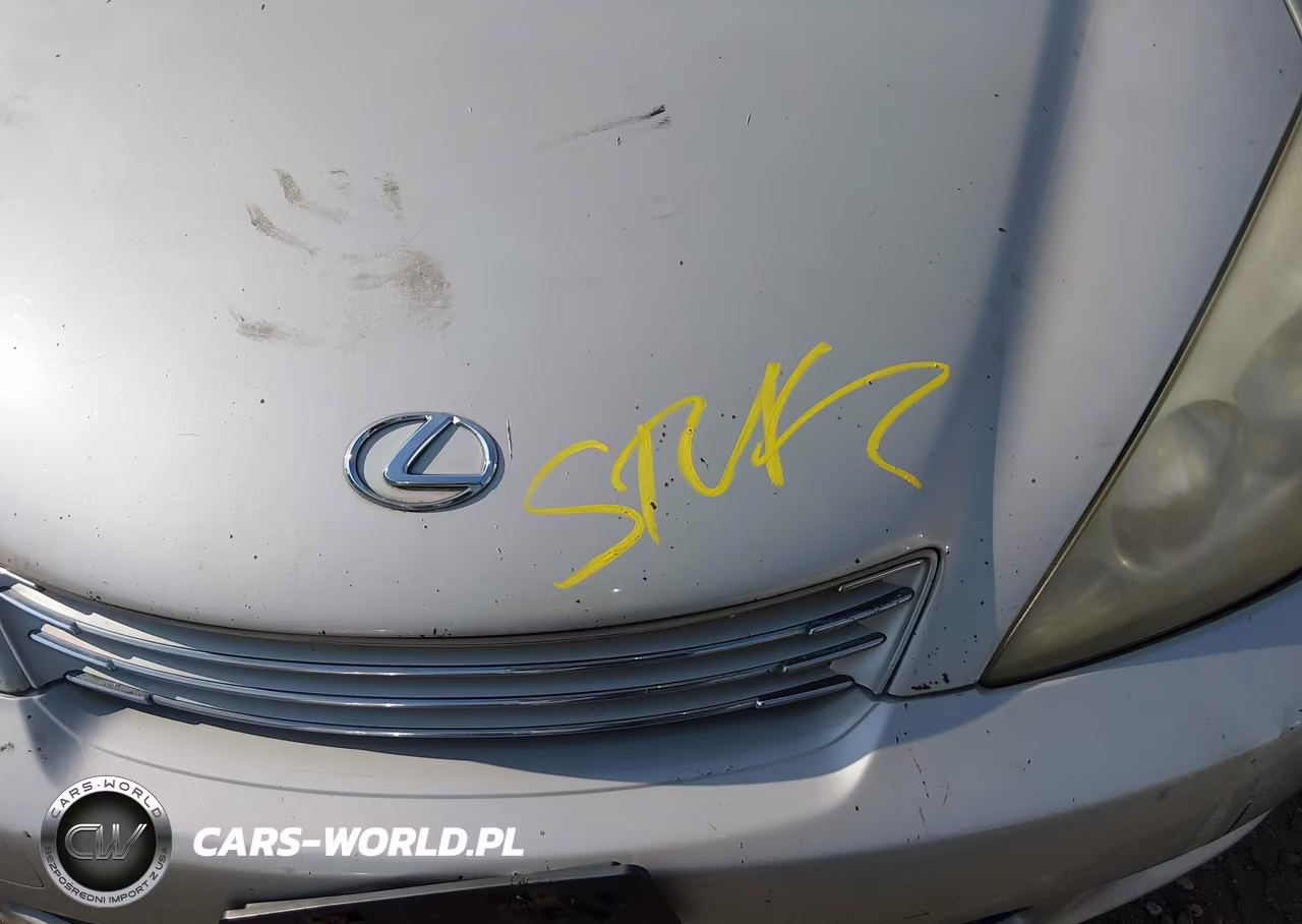 2002 Lexus Es 300 VIN:JTHBF30G825021303 - 10