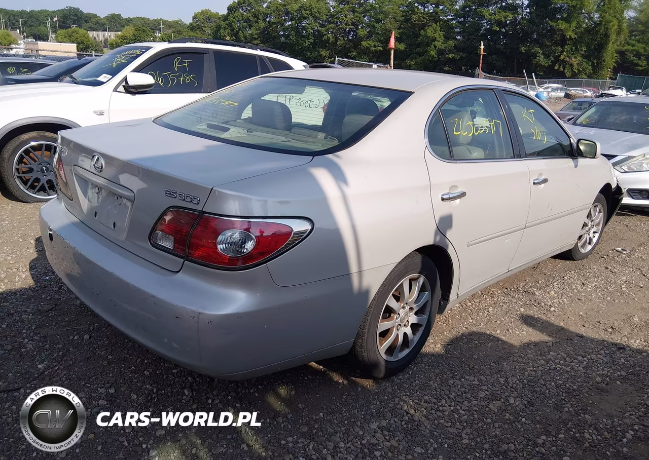 2002 Lexus Es 300 VIN:JTHBF30G825021303 - 4