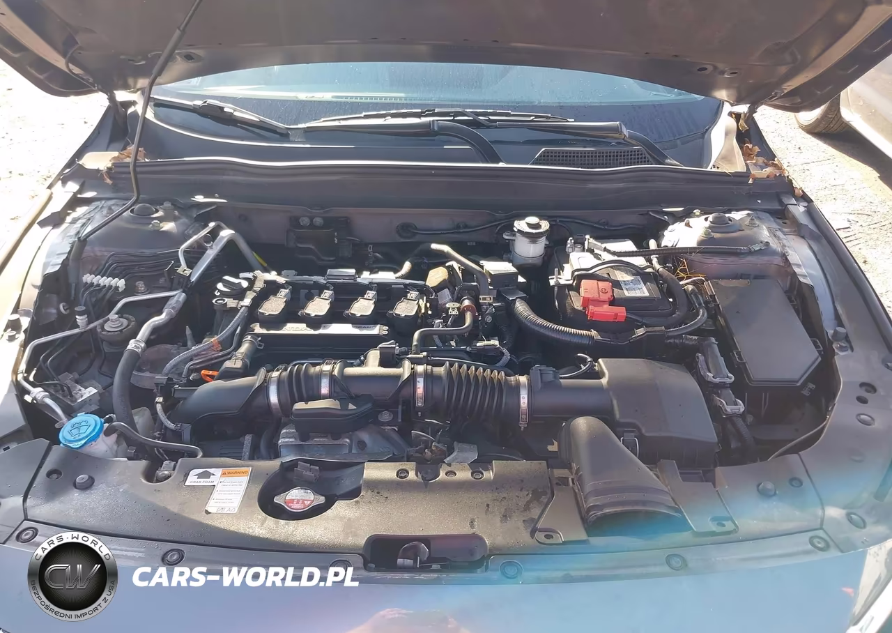 2019 Honda Accord Lx VIN:1HGCV1F12KA046691 - 10