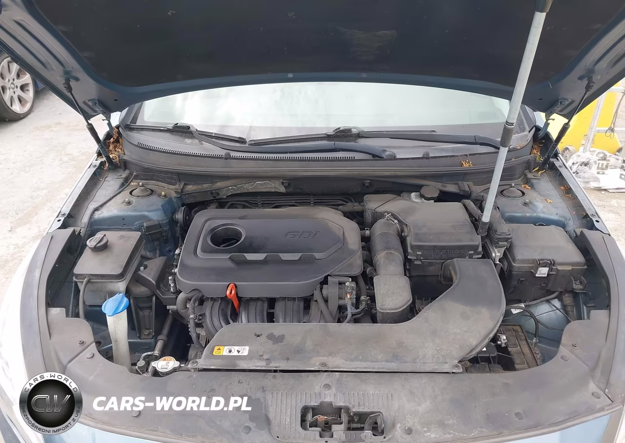 2017 Hyundai Sonata Sport VIN:5NPE34AF1HH489112 - 10