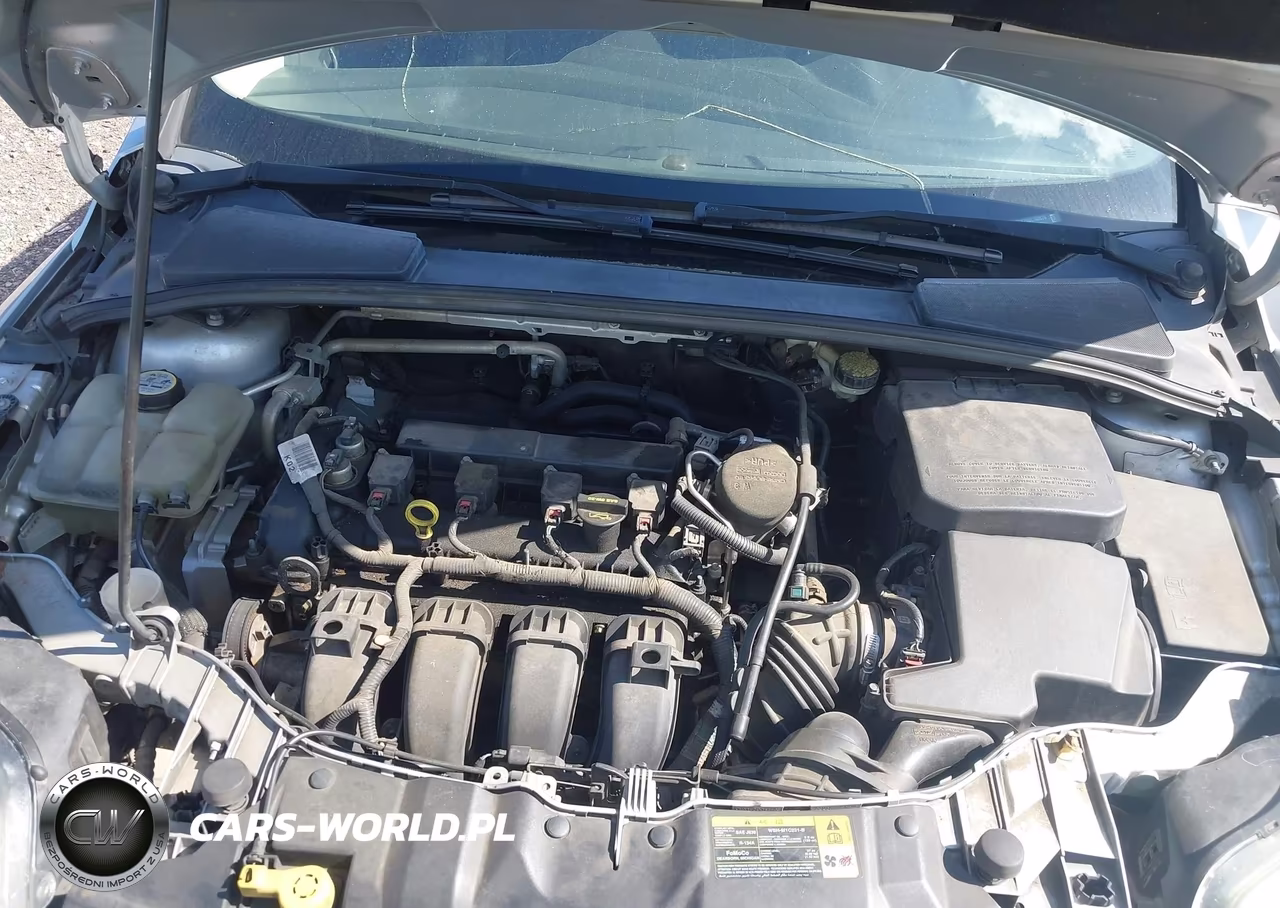 2013 Ford Focus Se VIN:1FADP3K29DL103876 - 10