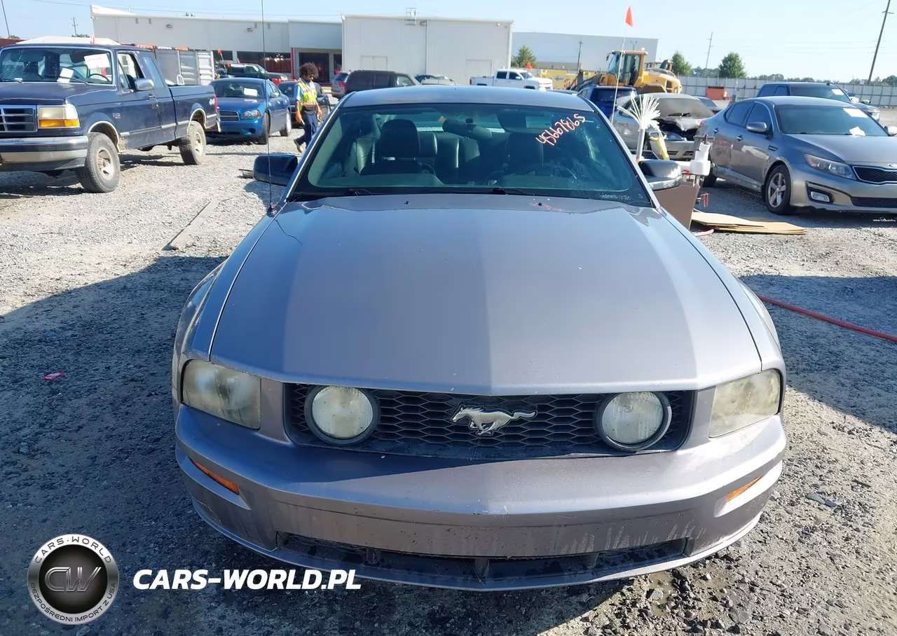 2007 Ford Mustang Gt Deluxe-Gt Premium VIN:1ZVFT82H575244661 - 12