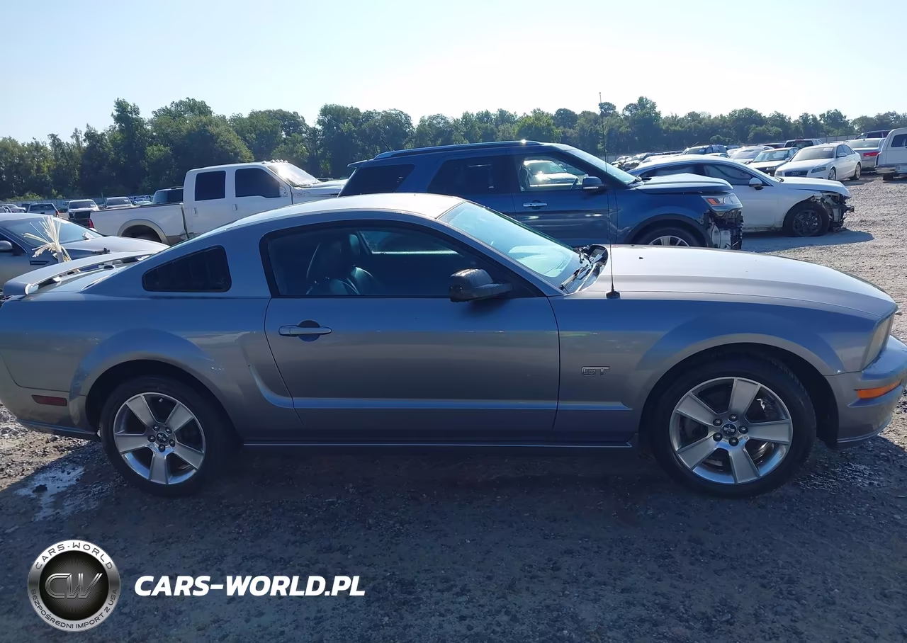 2007 Ford Mustang Gt Deluxe-Gt Premium VIN:1ZVFT82H575244661 - 13