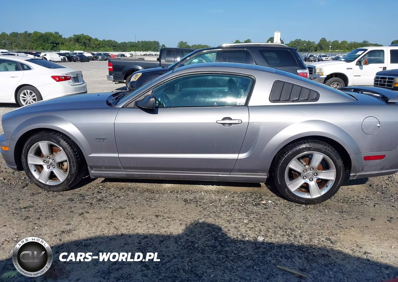 2007 Ford Mustang Gt Deluxe-Gt Premium VIN:1ZVFT82H575244661 - 14