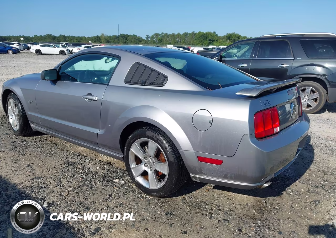 2007 Ford Mustang Gt Deluxe-Gt Premium VIN:1ZVFT82H575244661 - 3