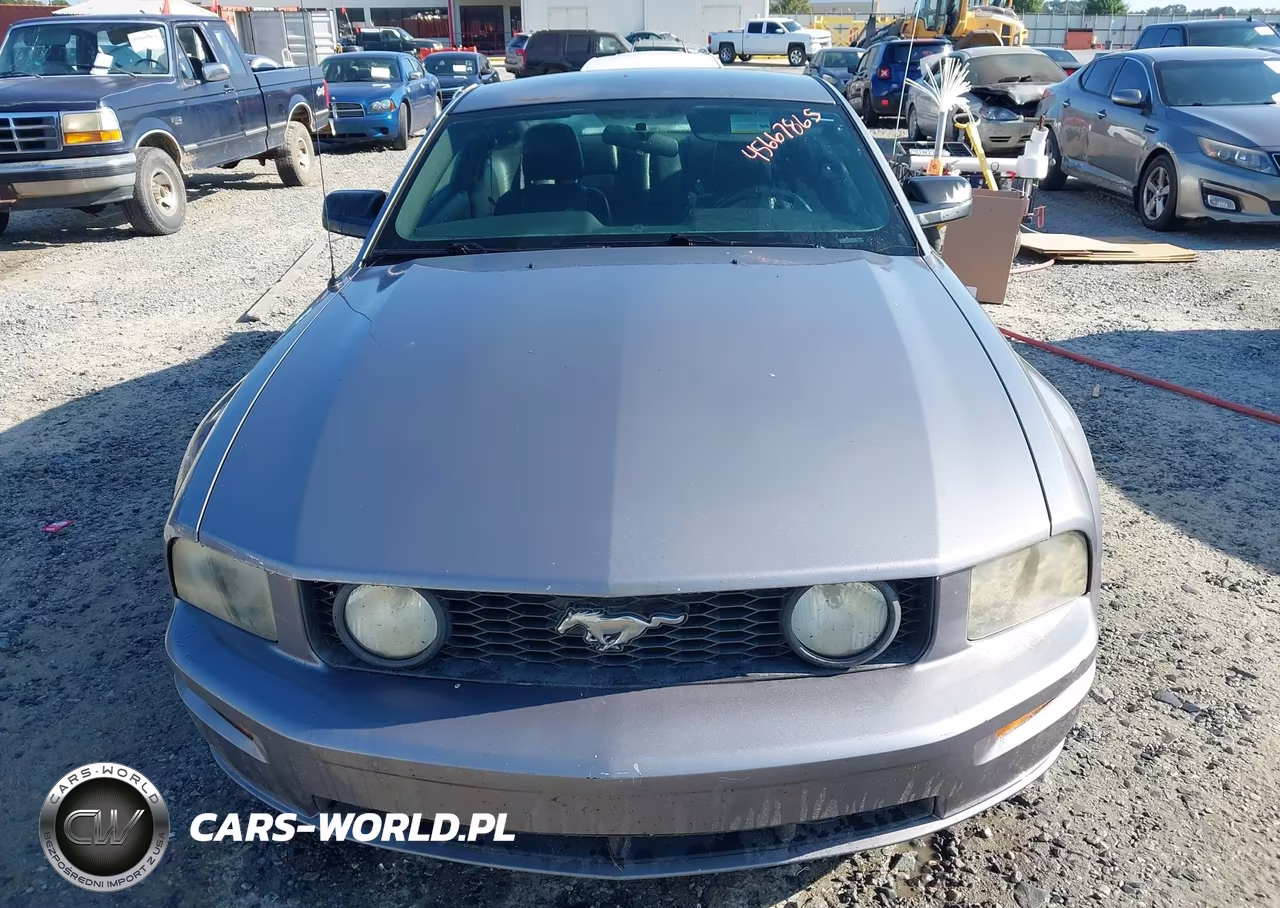 2007 Ford Mustang Gt Deluxe-Gt Premium VIN:1ZVFT82H575244661 - 6