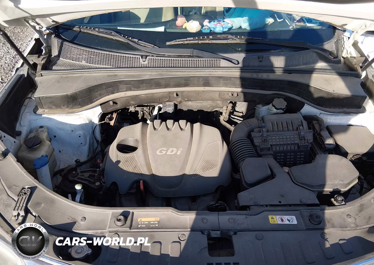 2014 Kia Sorento Lx VIN:5XYKT4A69EG491762 - 10