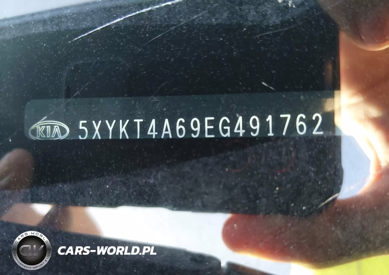 2014 Kia Sorento Lx VIN:5XYKT4A69EG491762 - 12