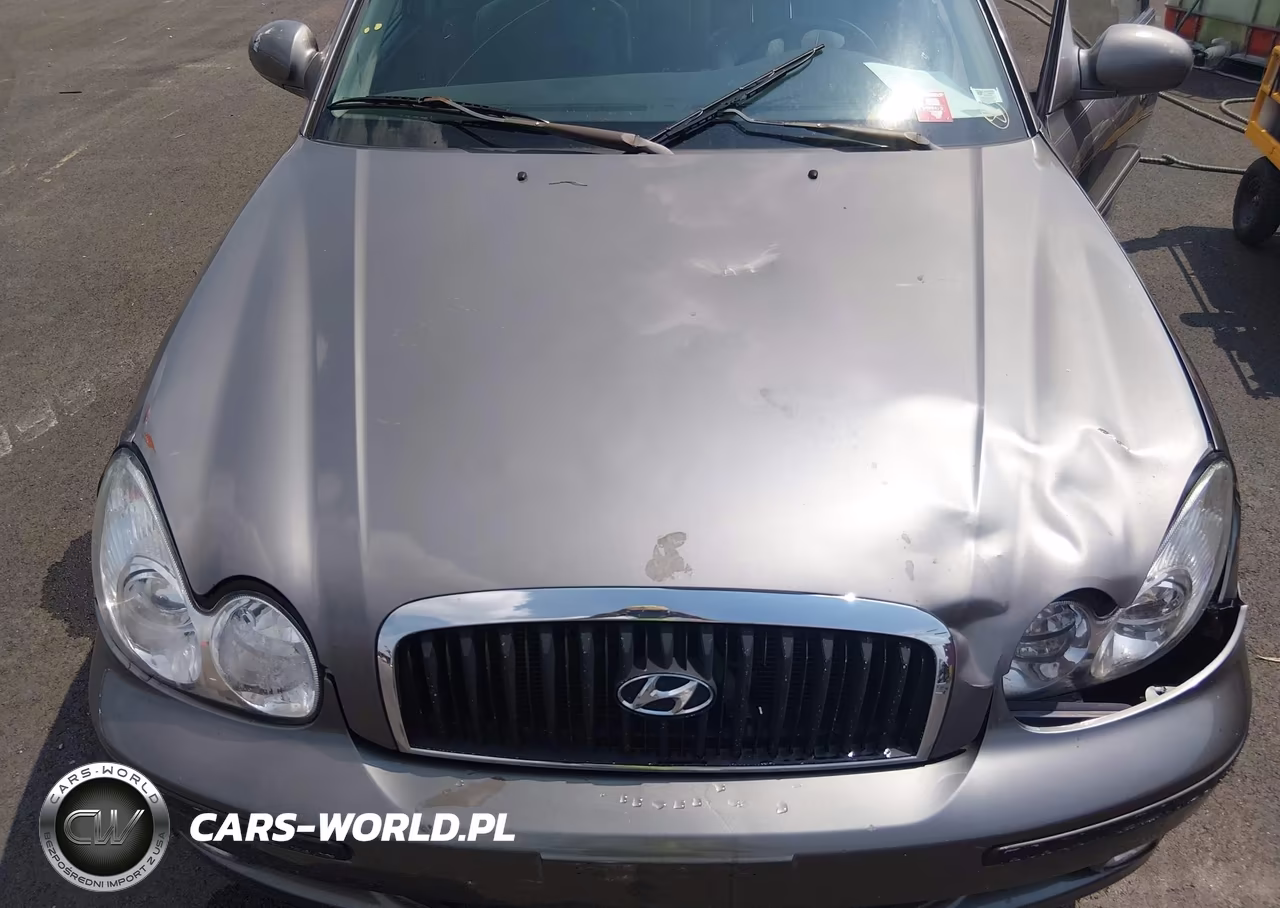2004 Hyundai Sonata Gls-Lx VIN:KMHWF35H34A073500 - 10