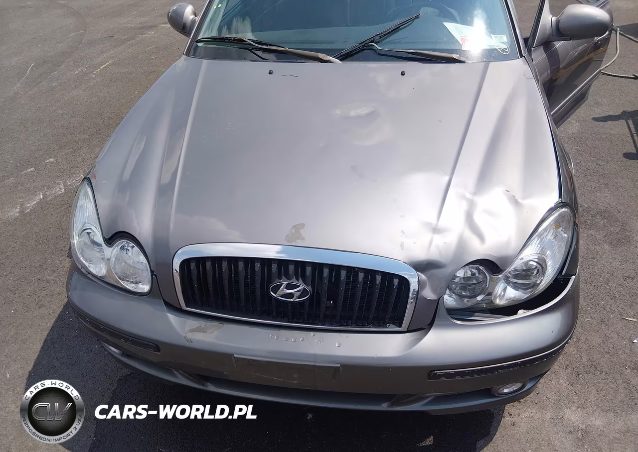 2004 Hyundai Sonata Gls-Lx VIN:KMHWF35H34A073500 - 6
