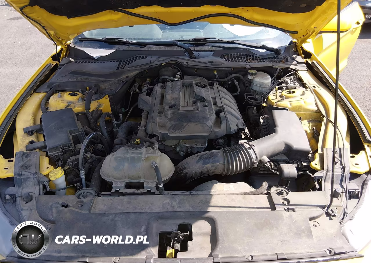 2016 Ford Mustang Ecoboost VIN:1FA6P8TH1G5211684 - 10