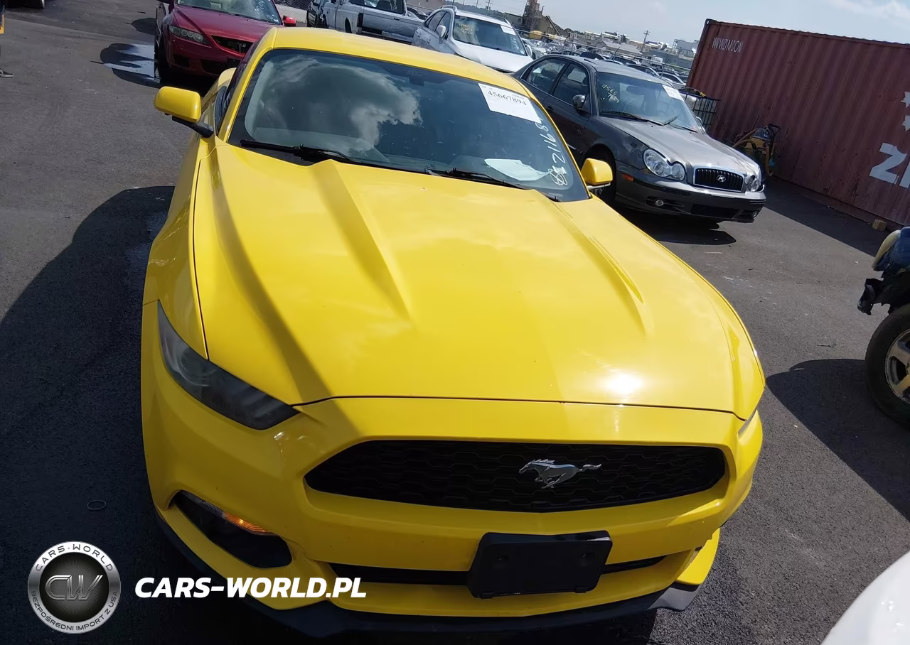 2016 Ford Mustang Ecoboost VIN:1FA6P8TH1G5211684 - 12