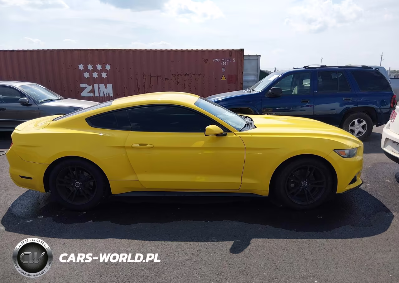 2016 Ford Mustang Ecoboost VIN:1FA6P8TH1G5211684 - 13