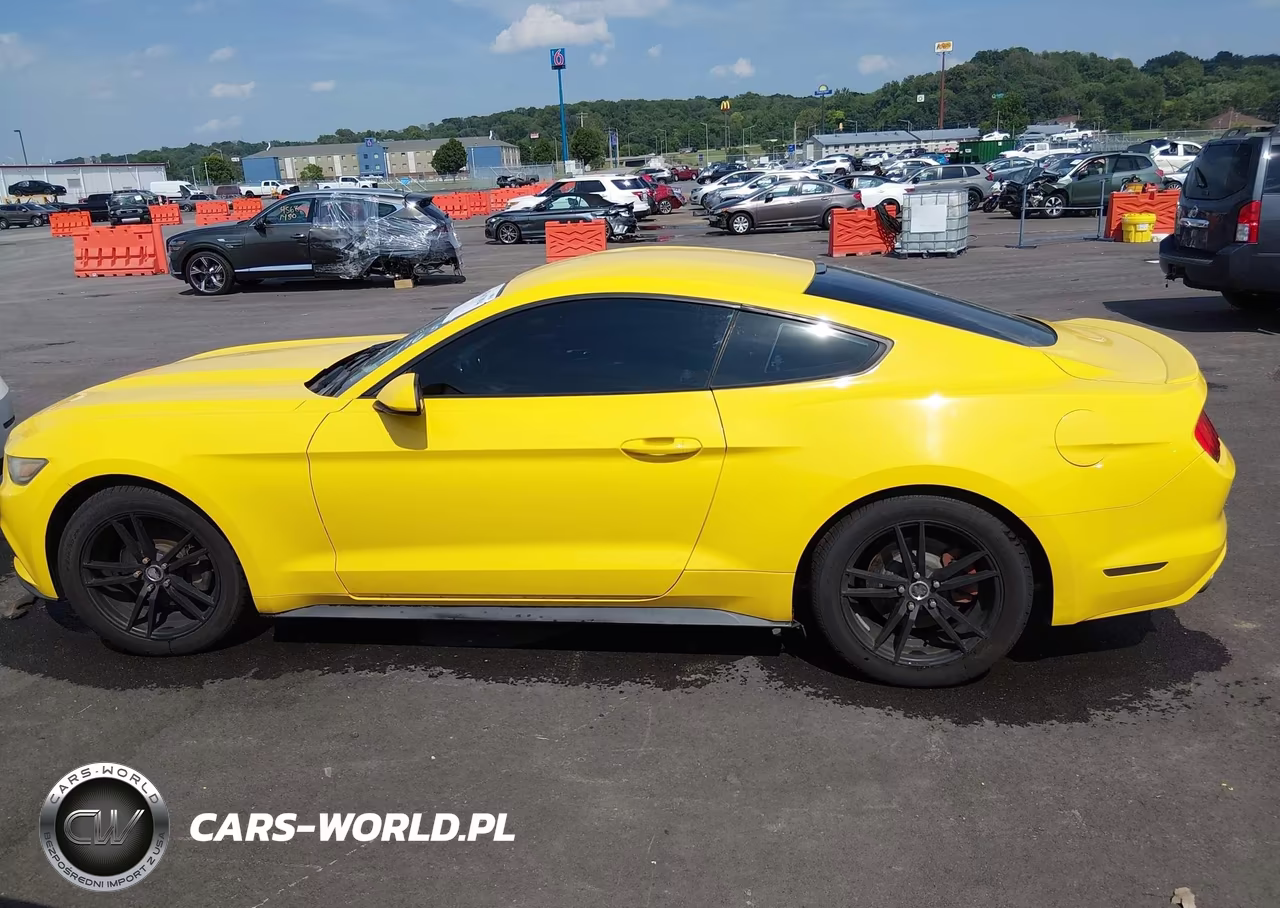 2016 Ford Mustang Ecoboost VIN:1FA6P8TH1G5211684 - 14