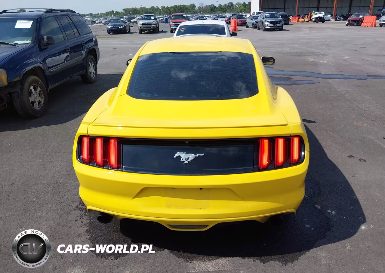 2016 Ford Mustang Ecoboost VIN:1FA6P8TH1G5211684 - 16