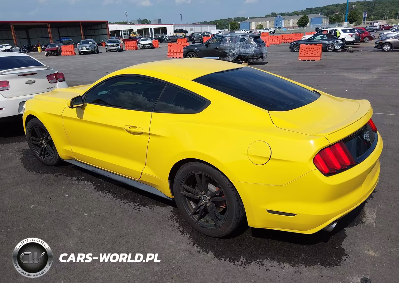 2016 Ford Mustang Ecoboost VIN:1FA6P8TH1G5211684 - 3