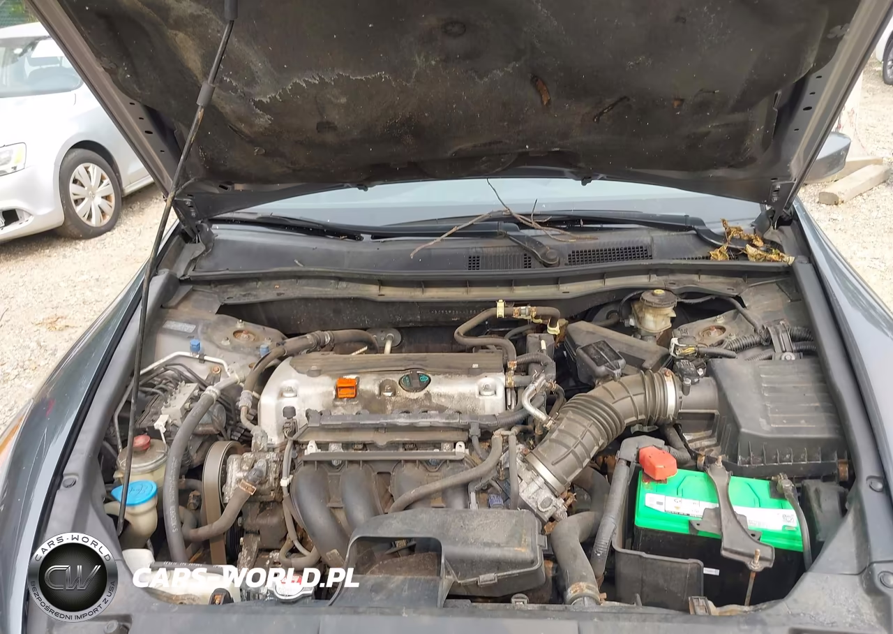 2010 Honda Accord 2.4 Lx VIN:1HGCP2F36AA183021 - 10