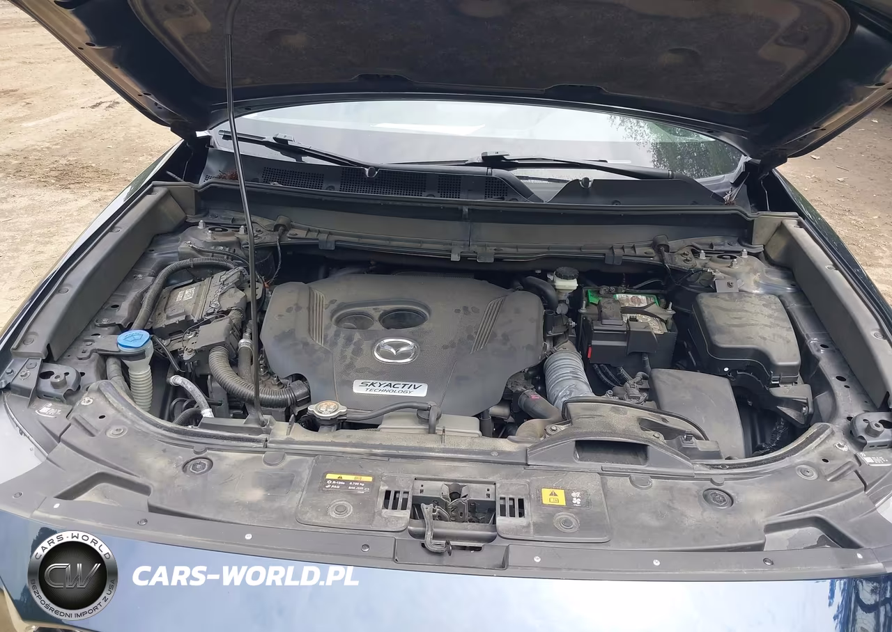 2019 Mazda Cx-9 Touring VIN:JM3TCBCY0K0302724 - 10