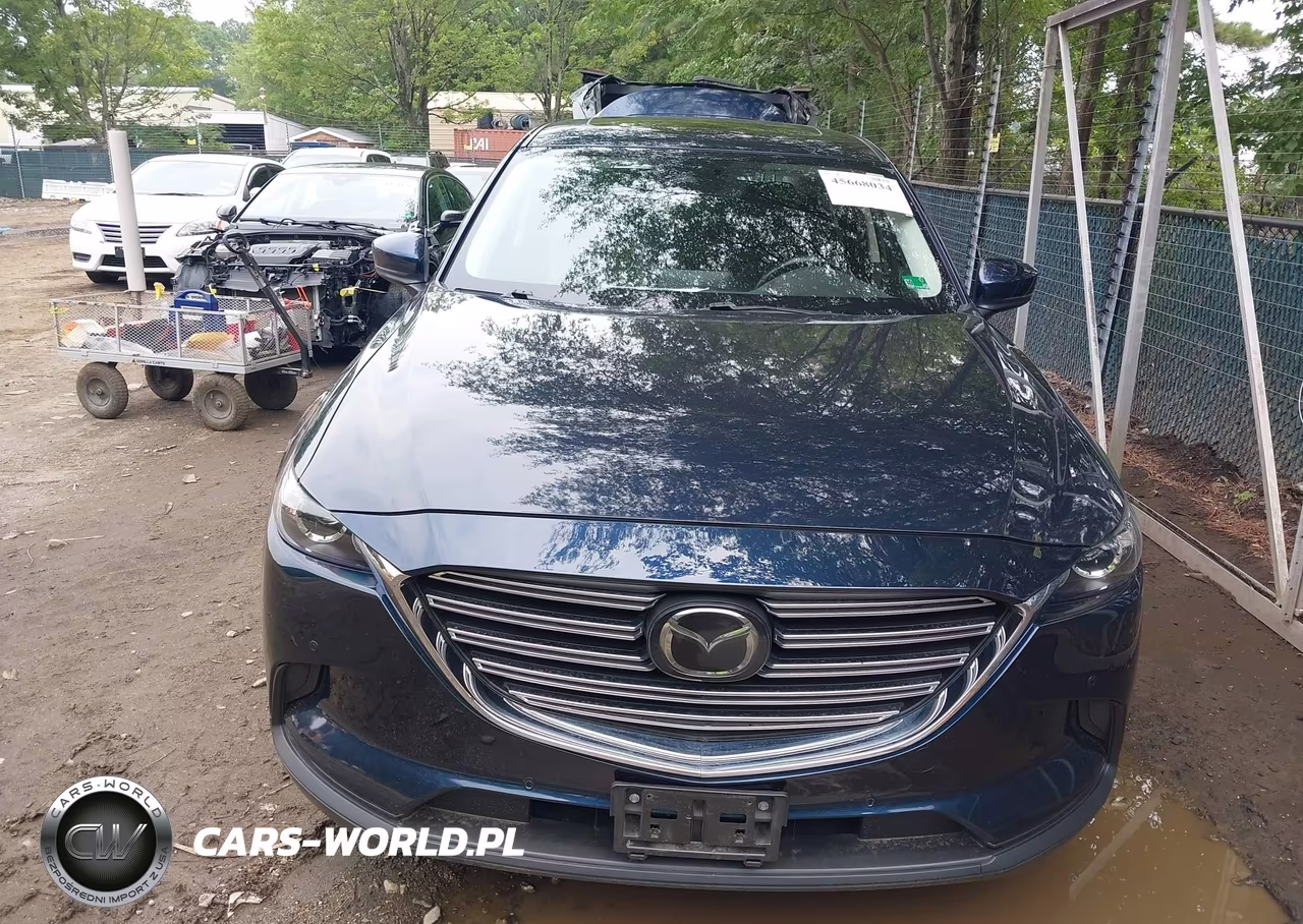 2019 Mazda Cx-9 Touring VIN:JM3TCBCY0K0302724 - 13