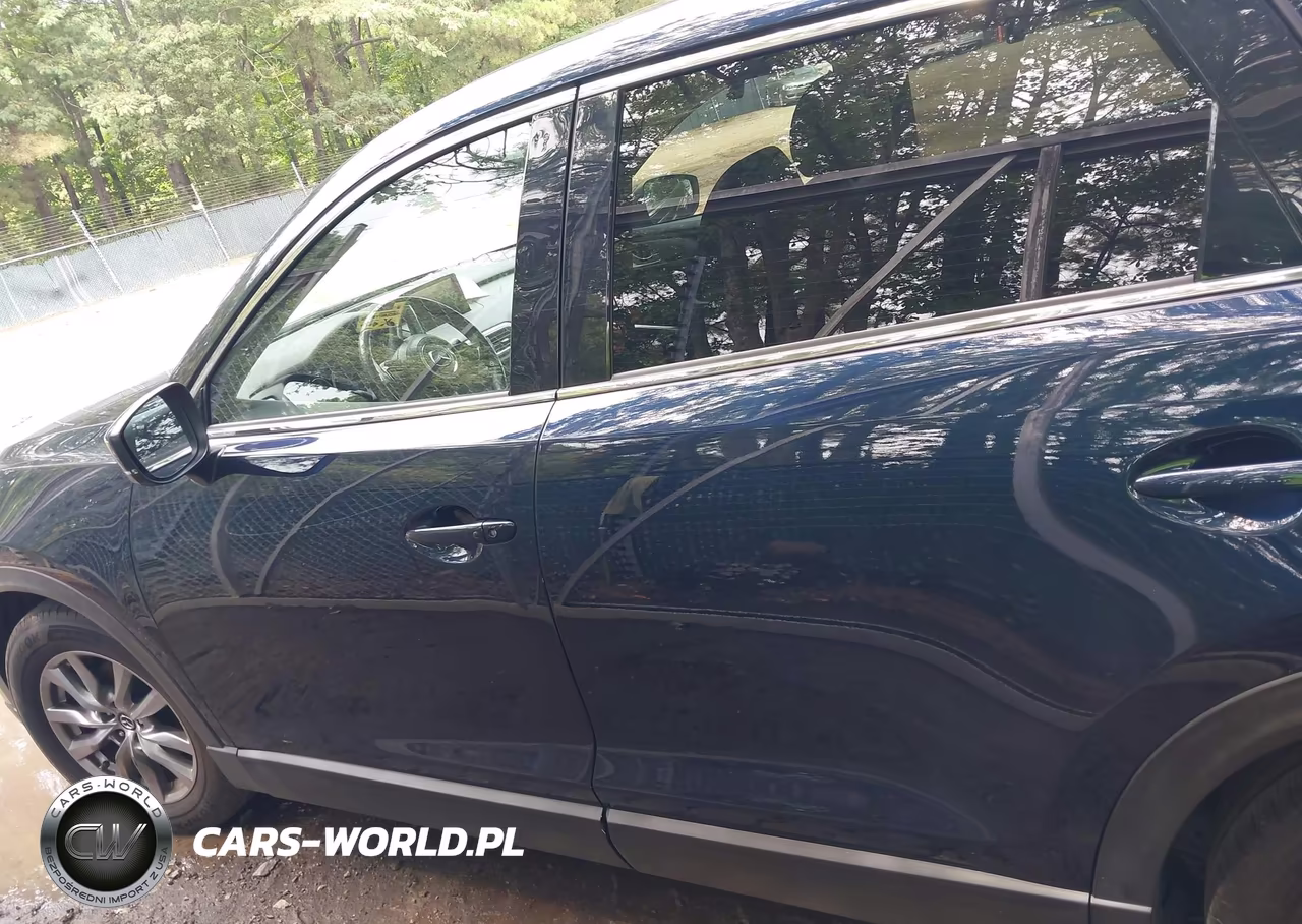 2019 Mazda Cx-9 Touring VIN:JM3TCBCY0K0302724 - 15