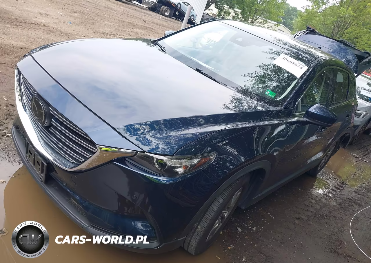 2019 Mazda Cx-9 Touring VIN:JM3TCBCY0K0302724 - 2