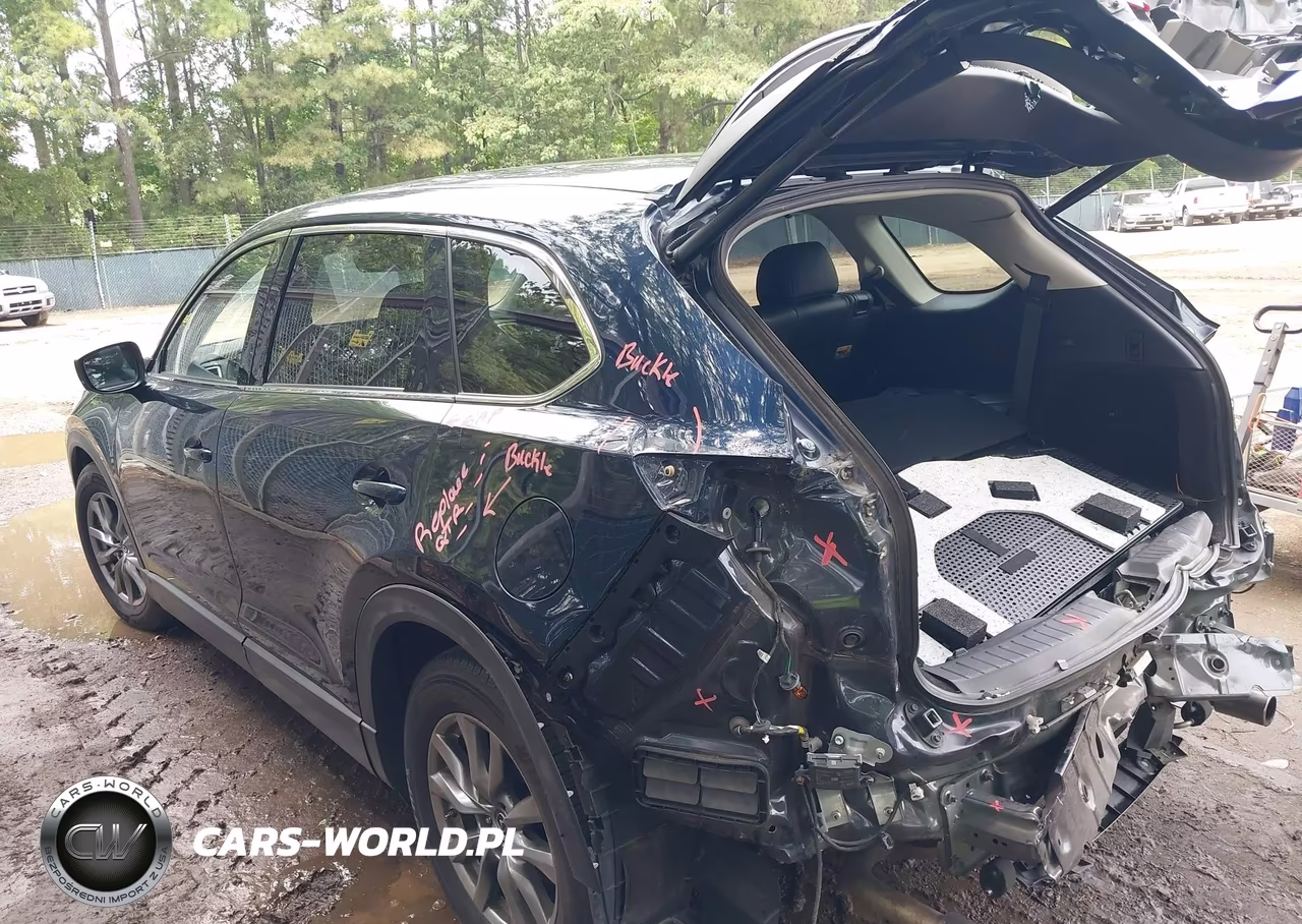 2019 Mazda Cx-9 Touring VIN:JM3TCBCY0K0302724 - 3