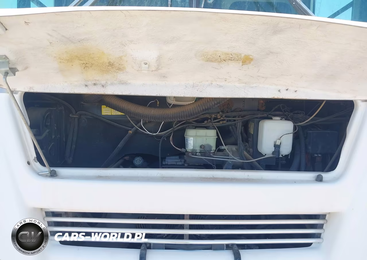 2004 Workhorse Custom Chassis Motorhome Chassis W22 VIN:5B4MP67G843380914 - 10