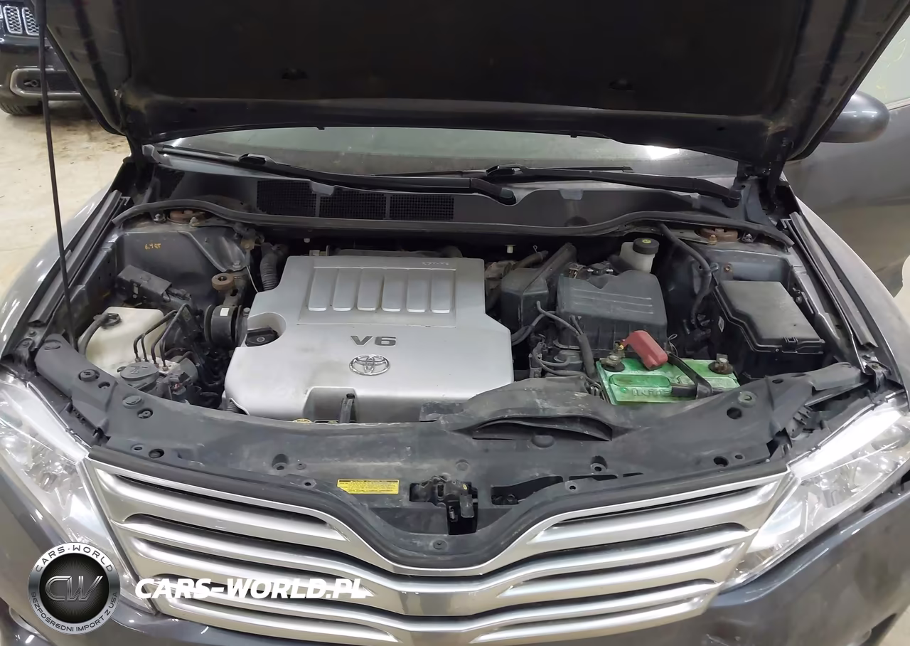 2010 Toyota Venza Base V6 VIN:4T3BK3BB1AU028048 - 10