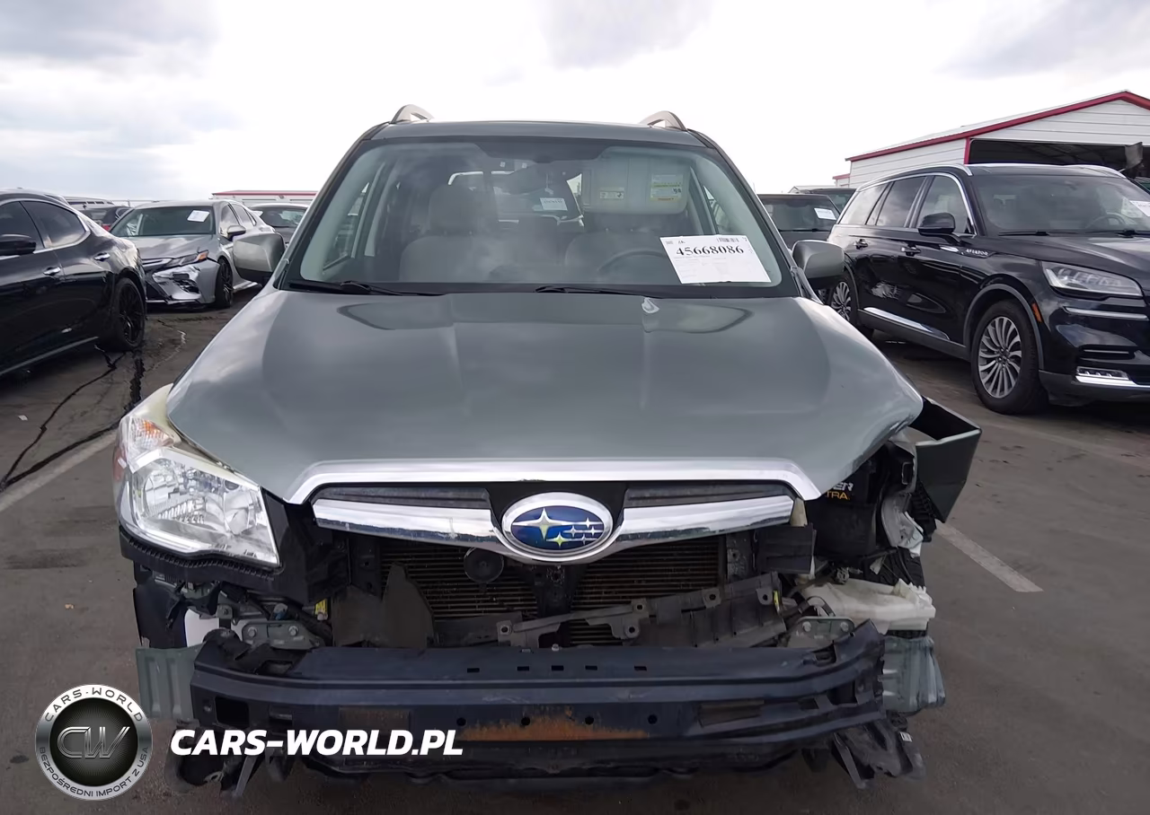 2016 Subaru Forester 2.5I Premium VIN:JF2SJADC2GH413728 - 13
