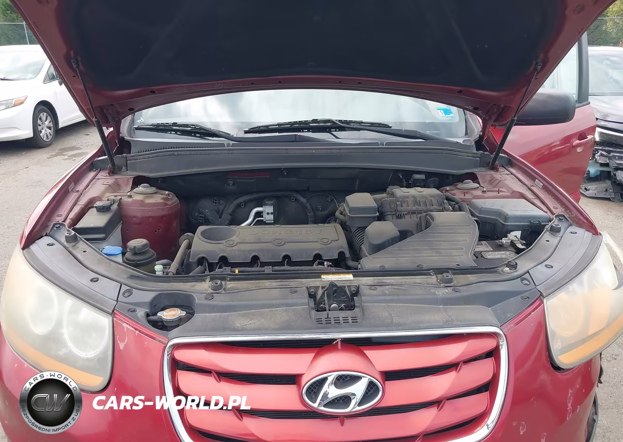 2010 Hyundai Santa Fe Gls VIN:5NMSGDAB5AH377579 - 10