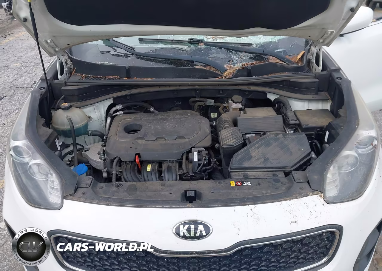 2019 Kia Sportage Lx VIN:KNDPM3AC8K7491747 - 10