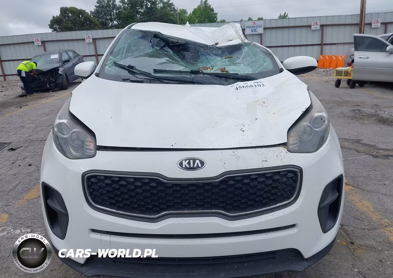 2019 Kia Sportage Lx VIN:KNDPM3AC8K7491747 - 12