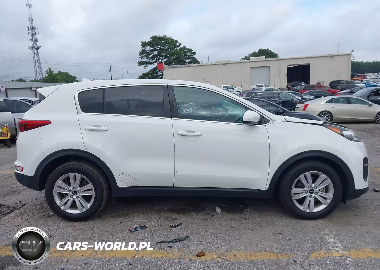 2019 Kia Sportage Lx VIN:KNDPM3AC8K7491747 - 13