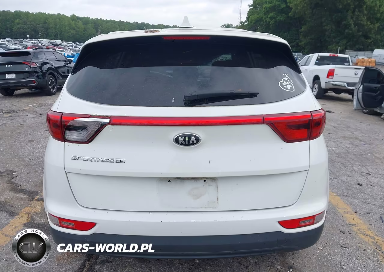 2019 Kia Sportage Lx VIN:KNDPM3AC8K7491747 - 16