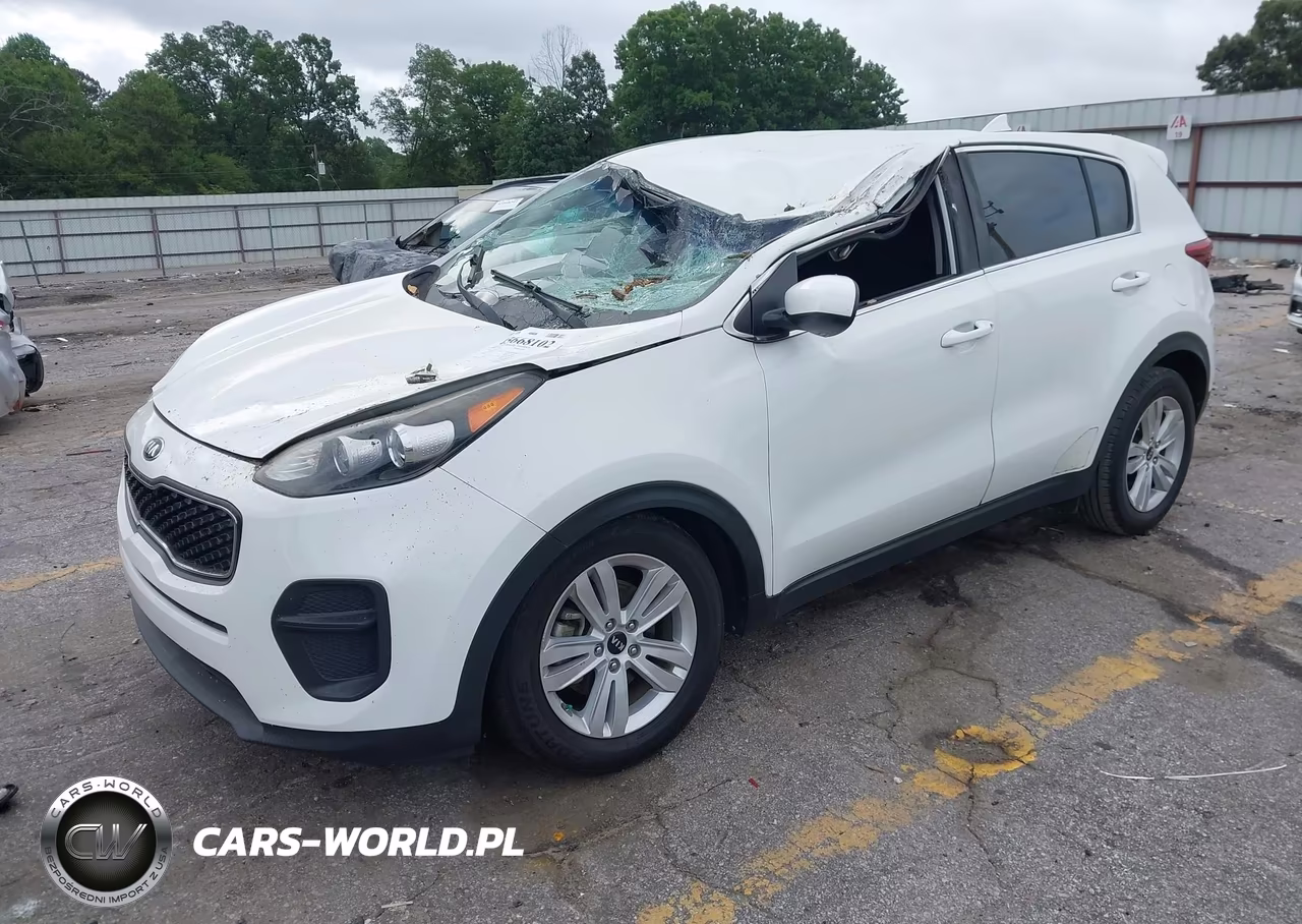 2019 Kia Sportage Lx VIN:KNDPM3AC8K7491747 - 2
