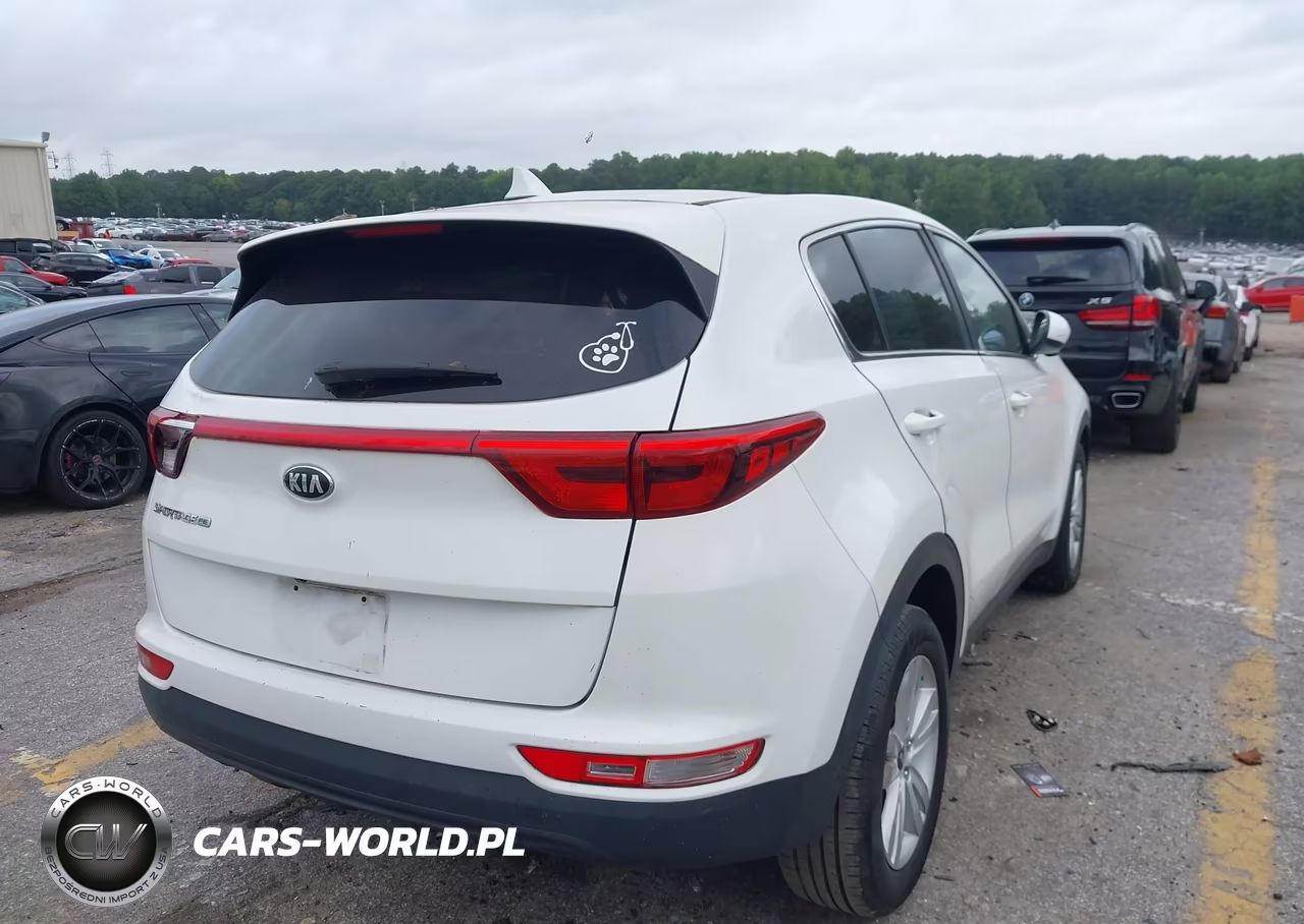2019 Kia Sportage Lx VIN:KNDPM3AC8K7491747 - 4