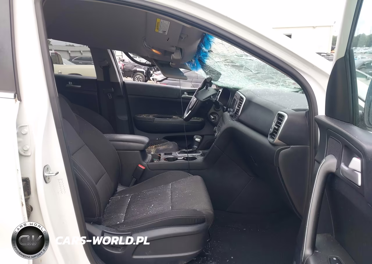 2019 Kia Sportage Lx VIN:KNDPM3AC8K7491747 - 5